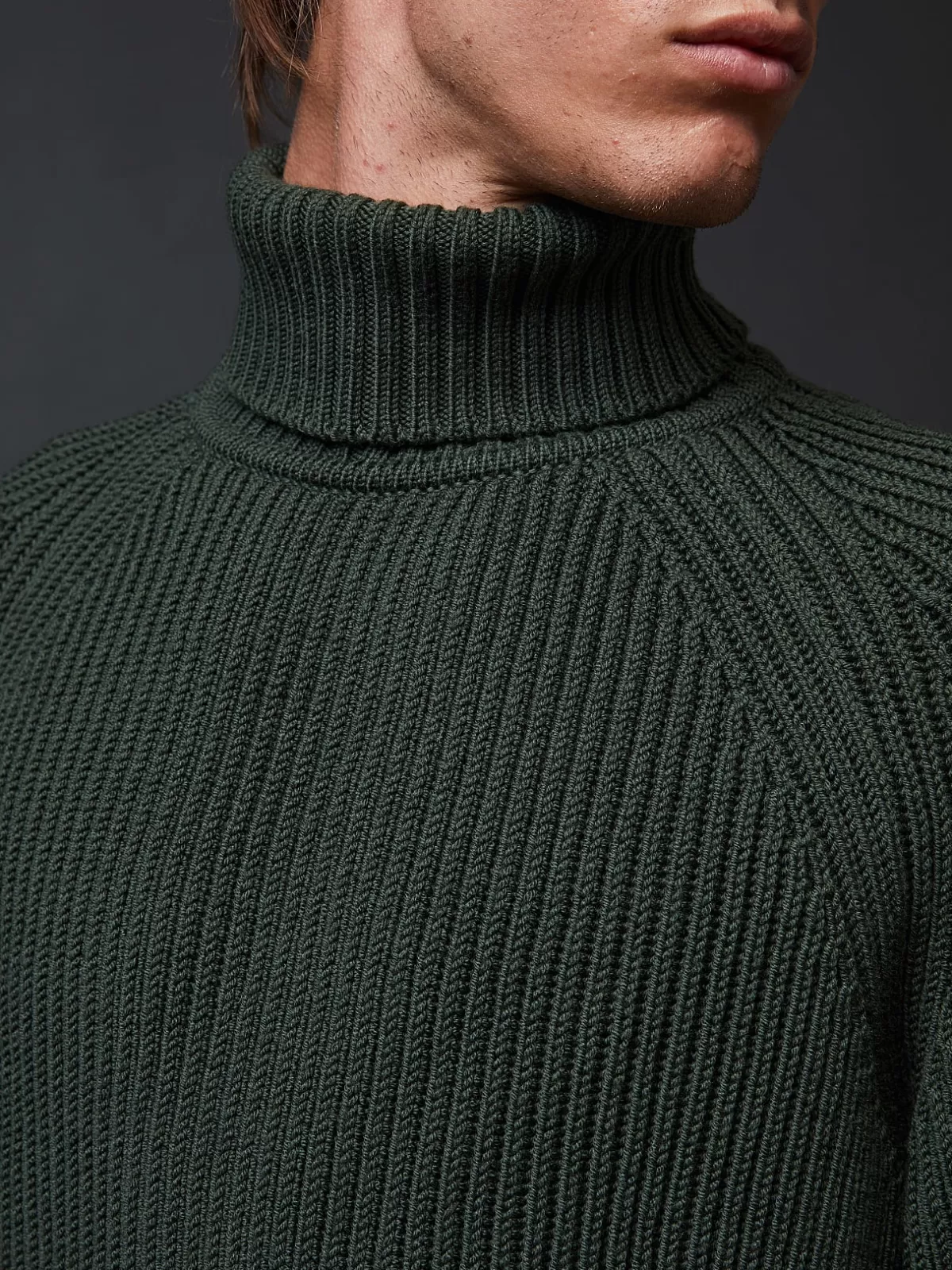 Store AlphaTauri Chunky Knit Merino-Wool Turtleneck Sweater Green