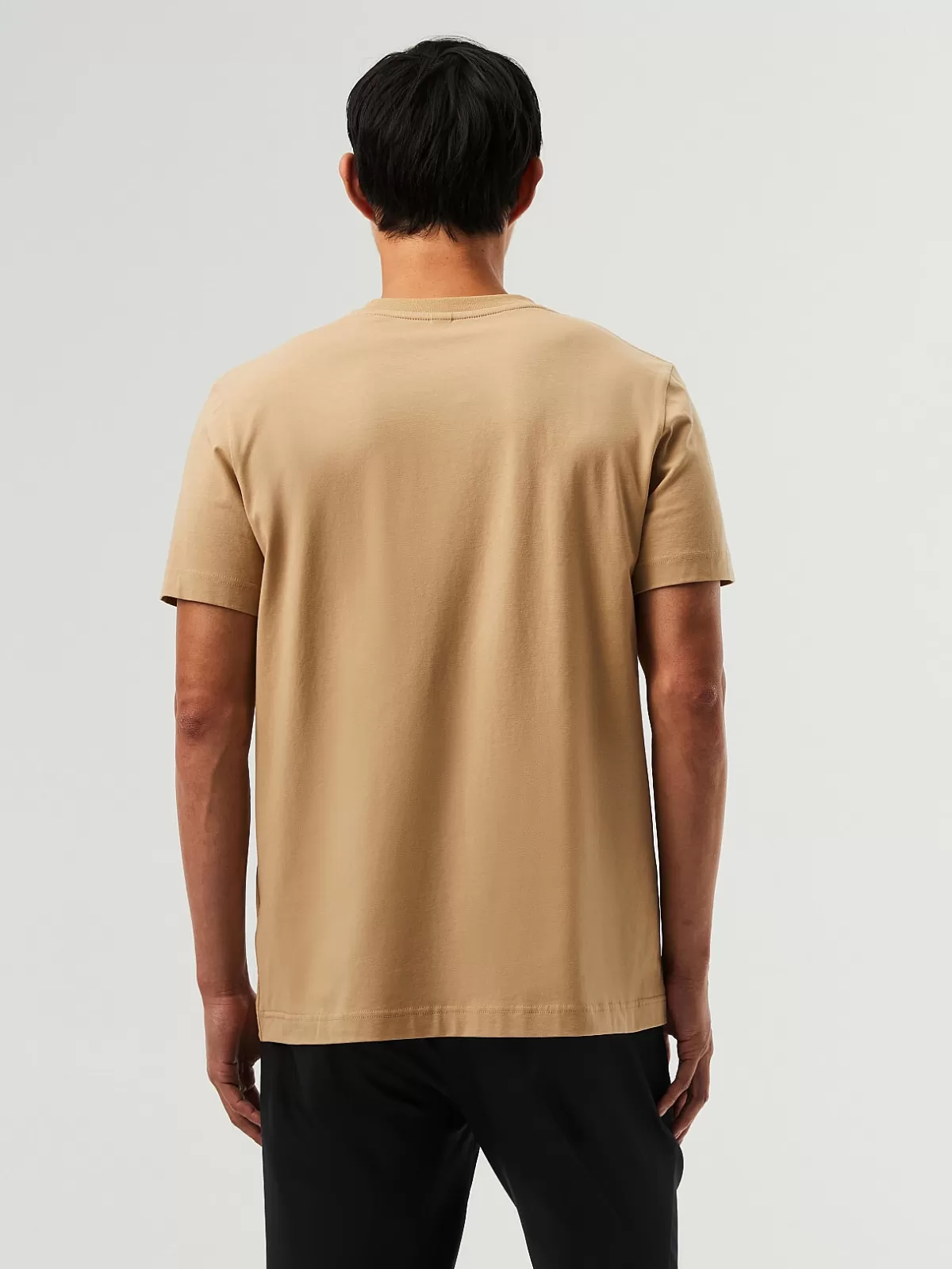 Hot AlphaTauri Signature Logo T-Shirt Brown / Beige