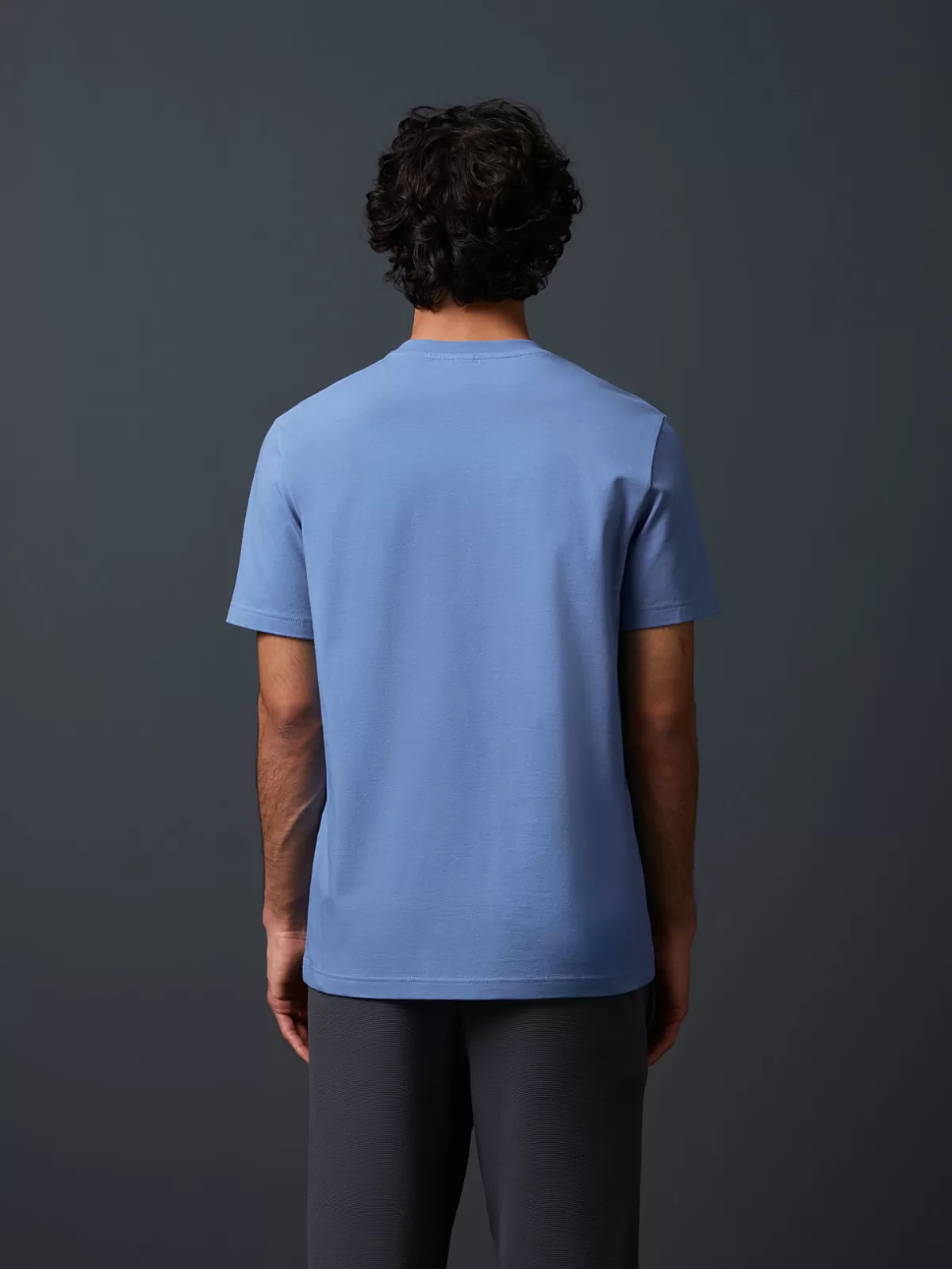 Shop AlphaTauri T-Shirt With Flock Print Medium Blue